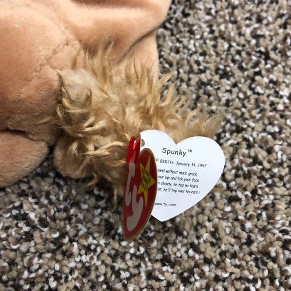 💥TY Spunky💥 - Picture 2 of 3